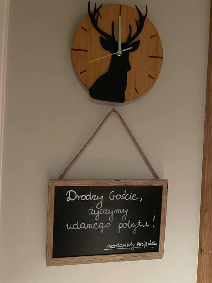 Apartamenty Miejscowka - Apartamenty Z Widokiem Na Gory - Bezplatny Parking ザコパネ