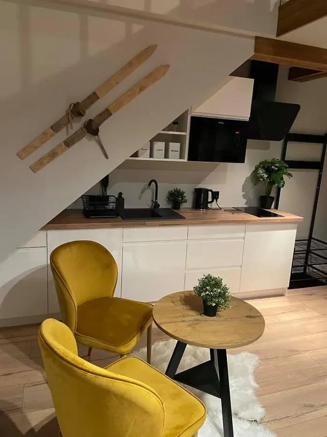 Apartamenty Miejscowka - Apartamenty Z Widokiem Na Gory - Bezplatny Parking ザコパネ 0*,